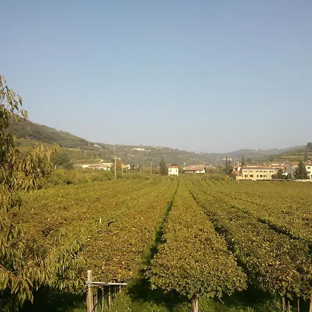 Hotel Grobberio 2*