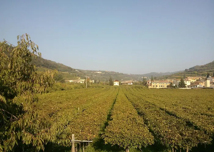 Ξενοδοχείο Grobberio 2*