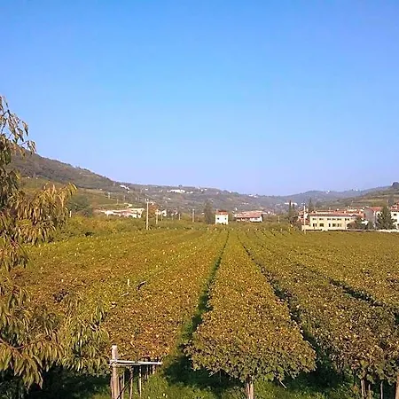 Otel Grobberio
