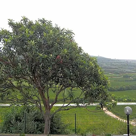 Grobberio Otel