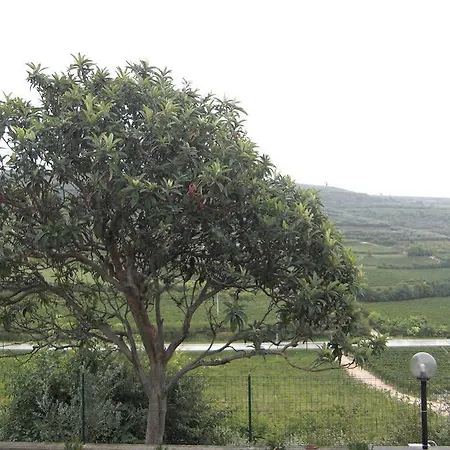 Hotel Grobberio